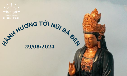 ảnh banner