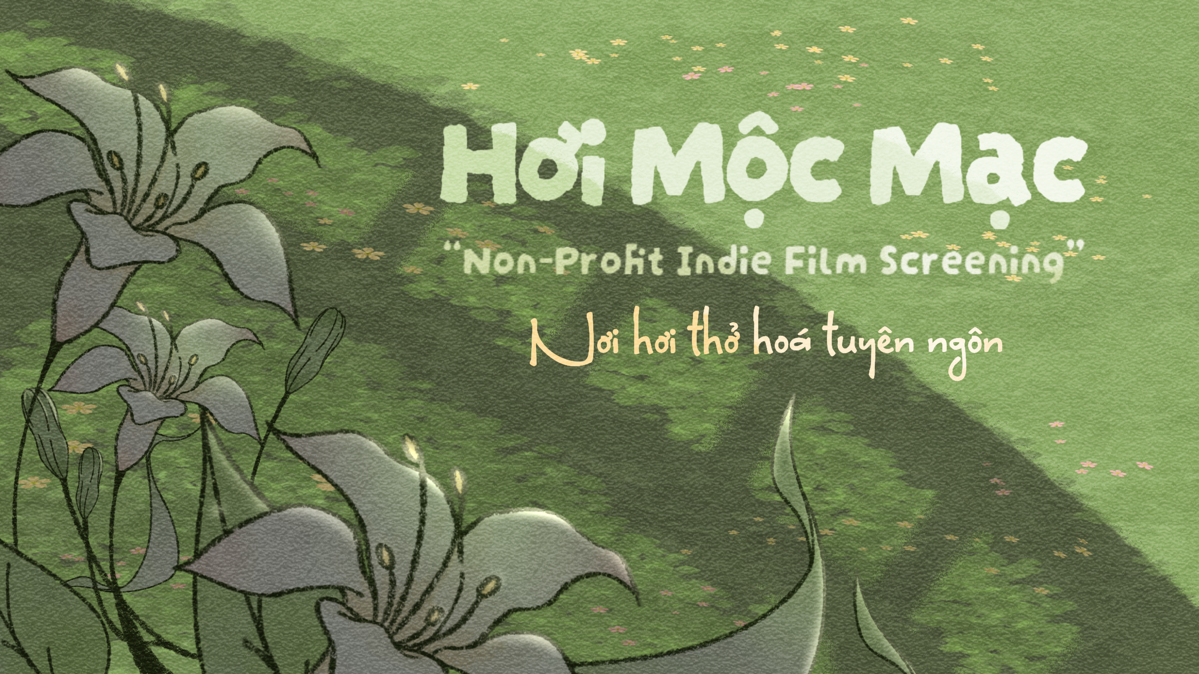 ảnh banner